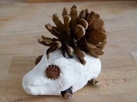  hérisson blance d'afrique