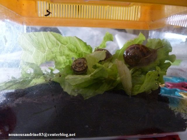 Un Escargot S En Allait à La Foire