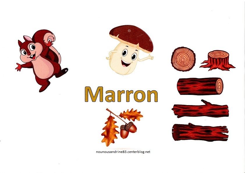 PLAY-DOH - Kitchen Creations - Fiesta Des Pâtes Avec 5 Couleurs De Pâte