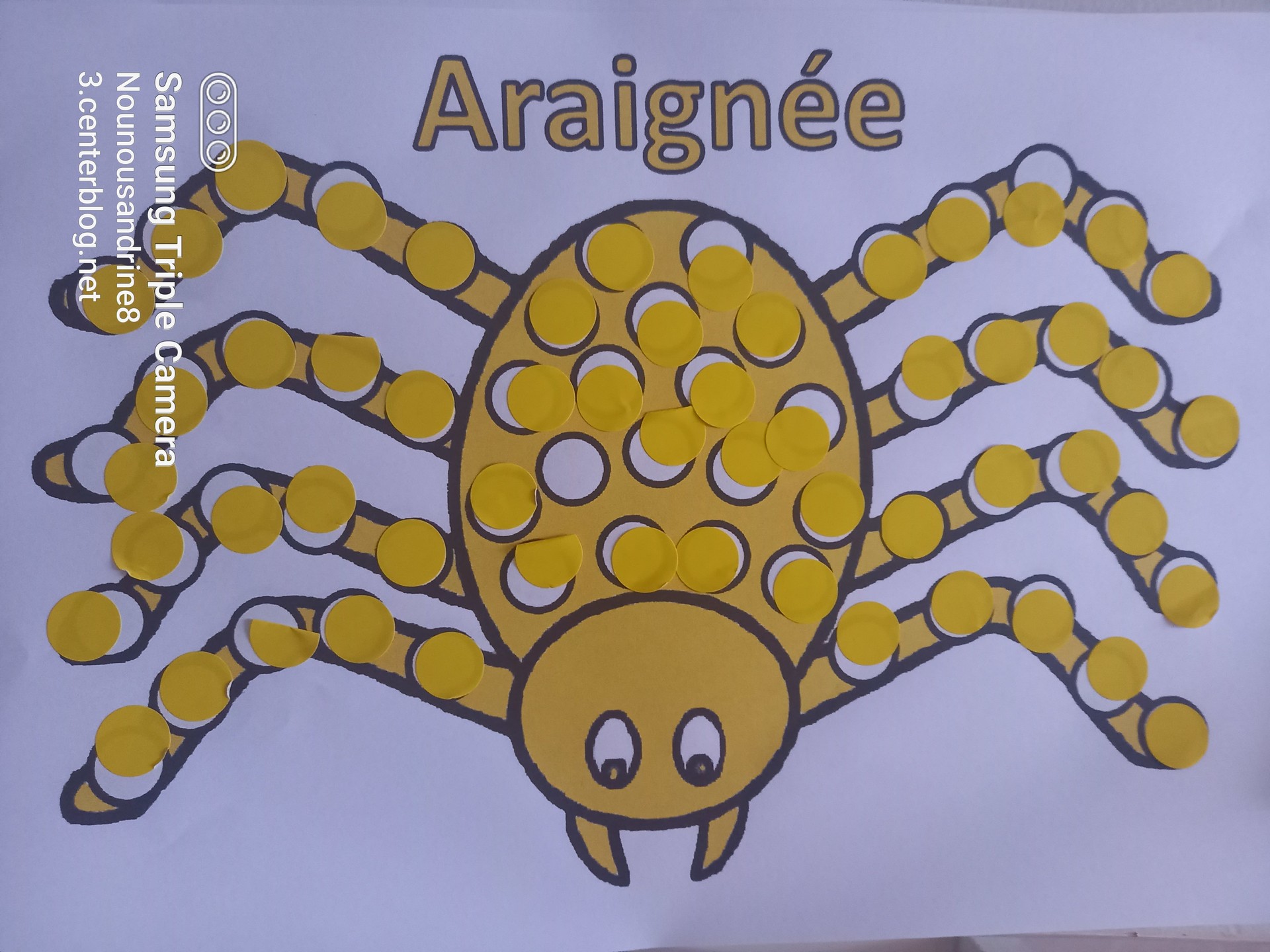Sitemapcdatahttpsstileinfbizidbricolage Araignee Maternellenull