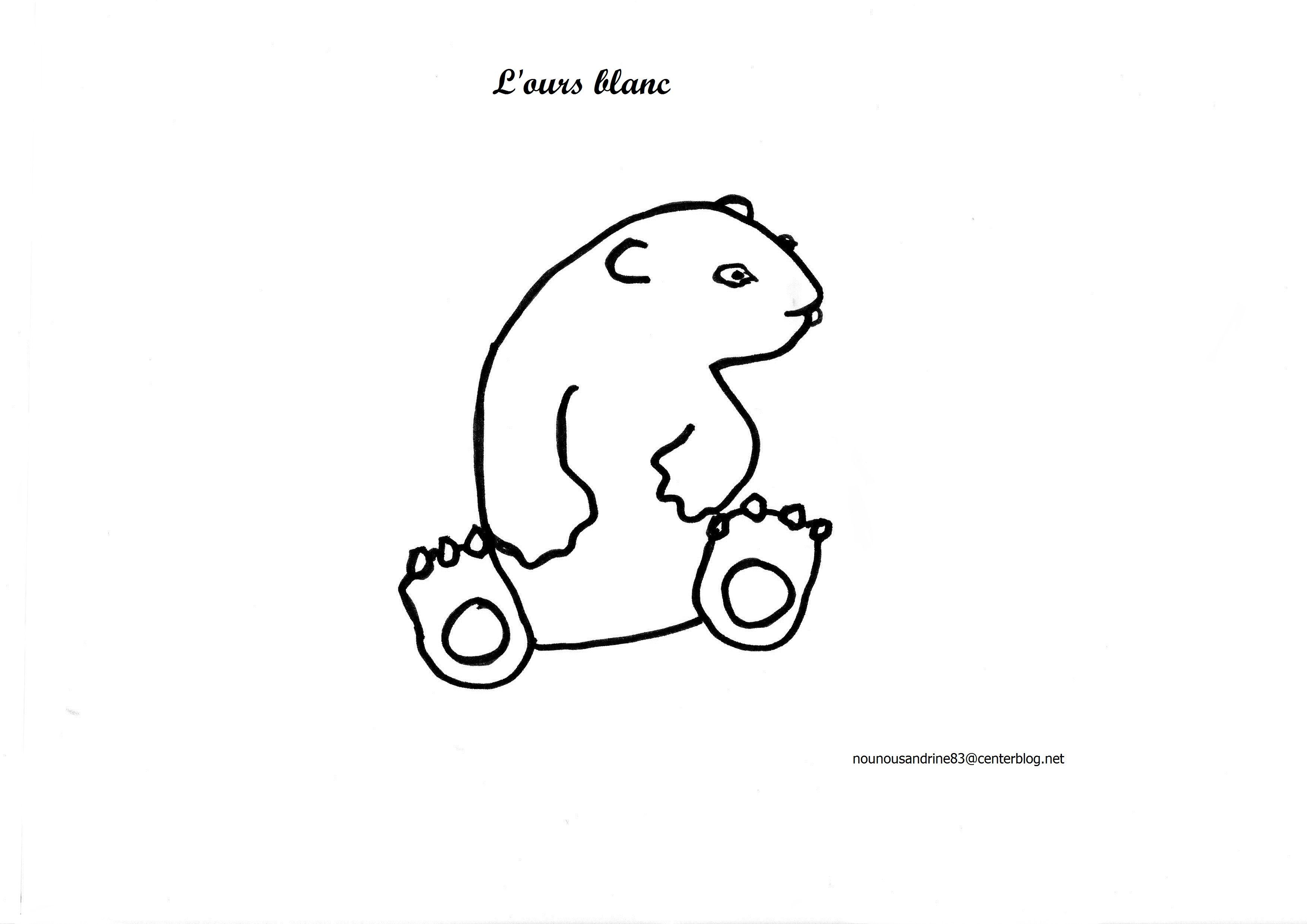 l'ours blanc , coloriage