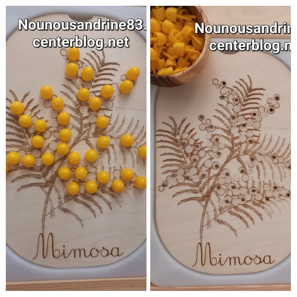 mimosa insert trofast